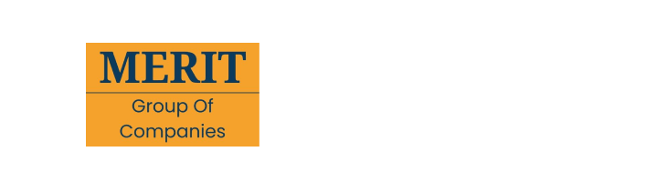 Merit Immigration Solutions