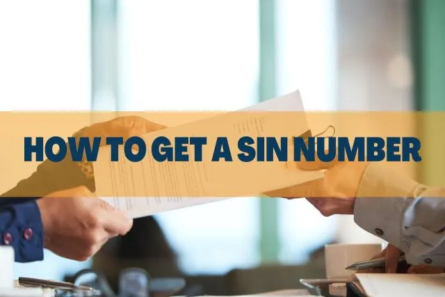 how to get your sin number
